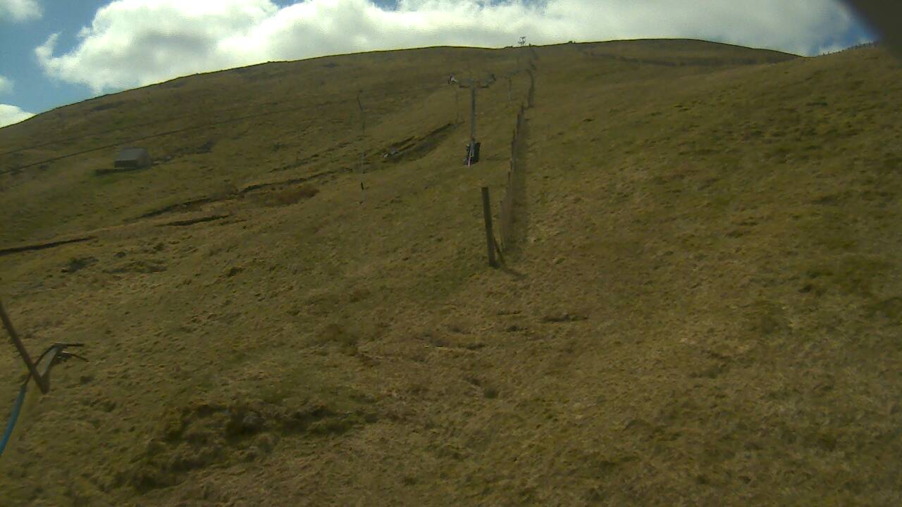 Image from 2022/04/27 for Tow Hut