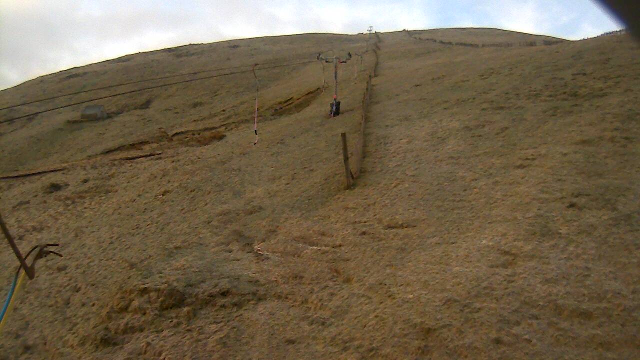 Image from 2022/04/28 for Tow Hut