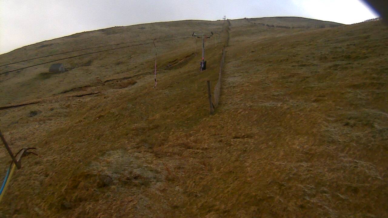 Image from 2022/04/28 for Tow Hut