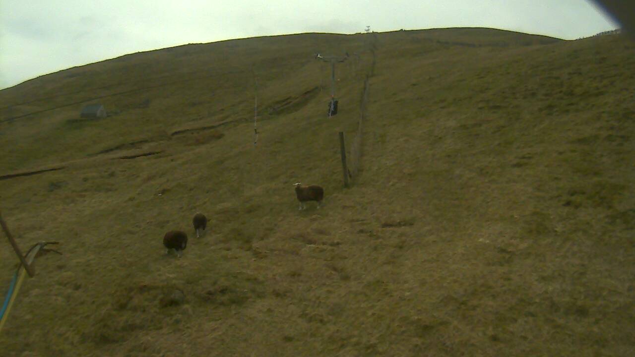 Image from 2022/04/28 for Tow Hut