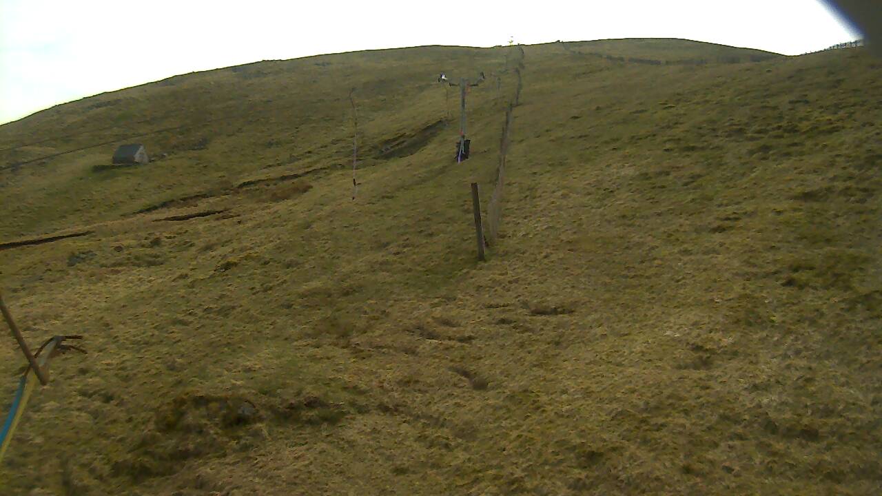 Image from 2022/04/28 for Tow Hut