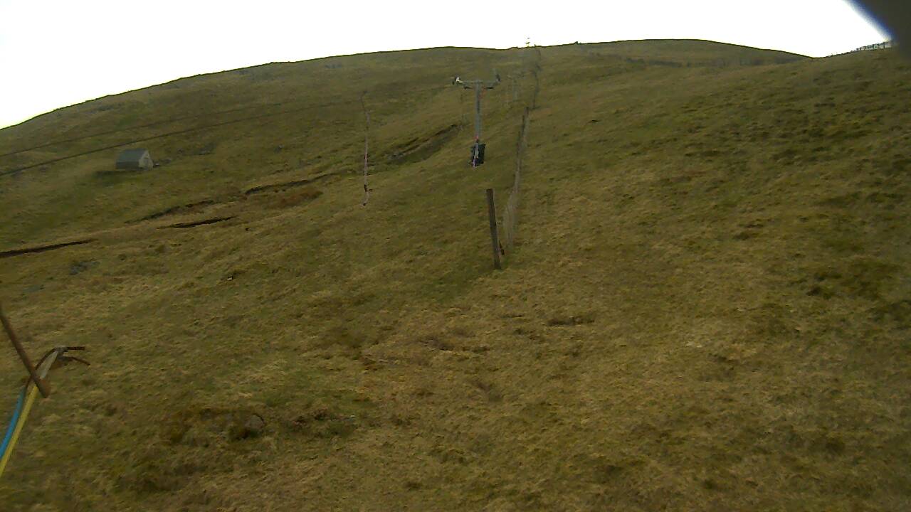 Image from 2022/04/28 for Tow Hut