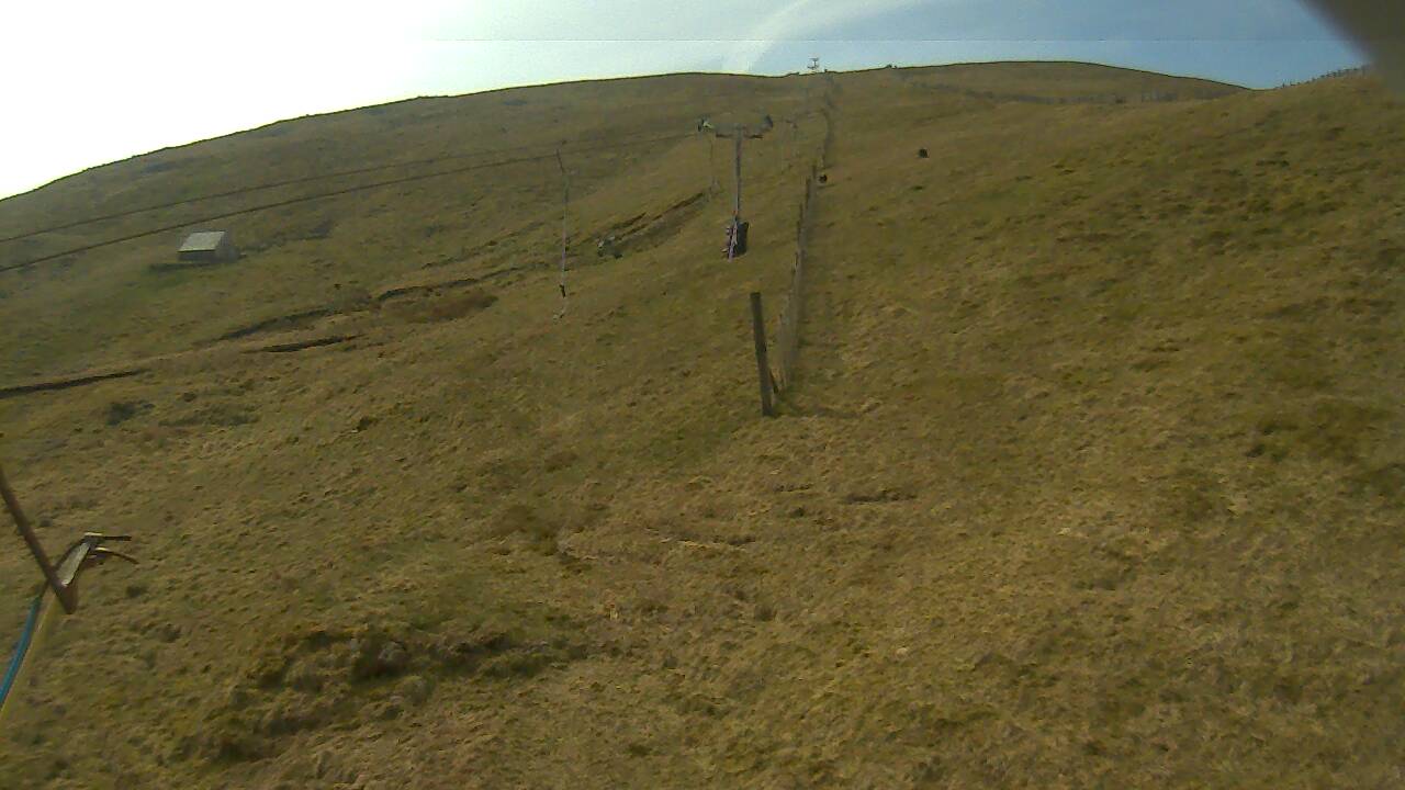 Image from 2022/04/30 for Tow Hut