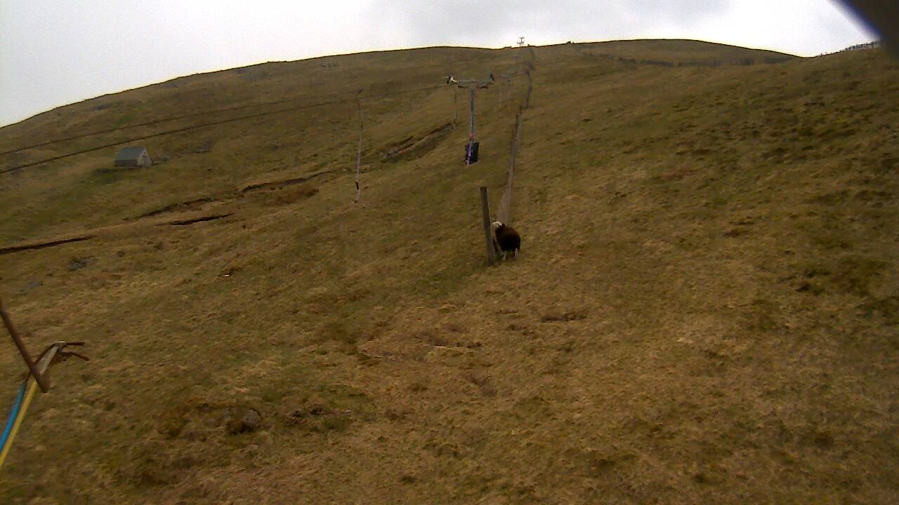 Image from 2022/04/30 for Tow Hut