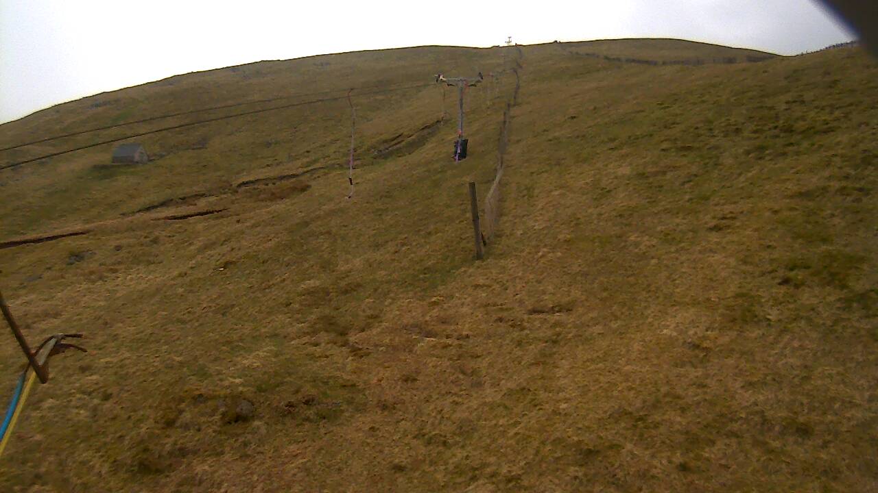 Latest image from 2022/04 for Tow Hut