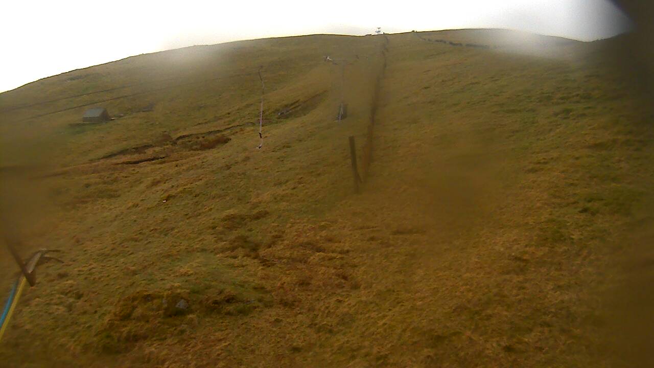 Image from 2022/05/01 for Tow Hut