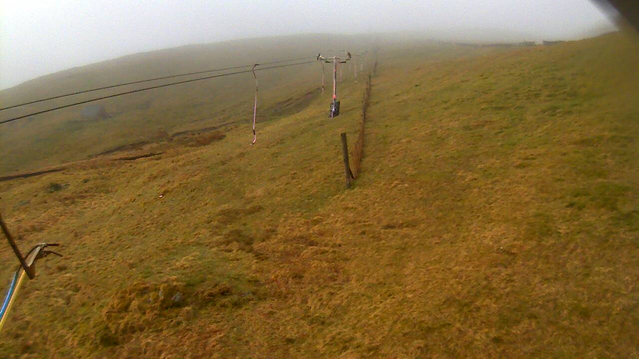 Image from 2022/05/01 for Tow Hut