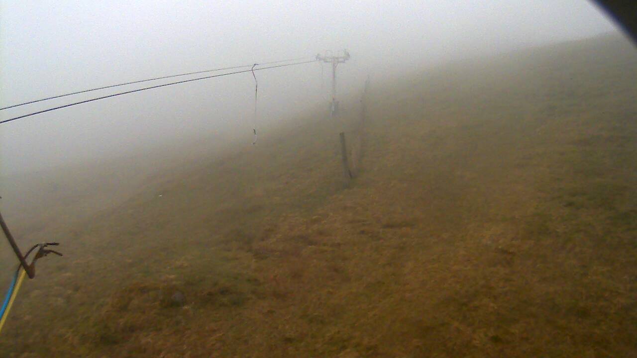 Image from 2022/05/01 for Tow Hut