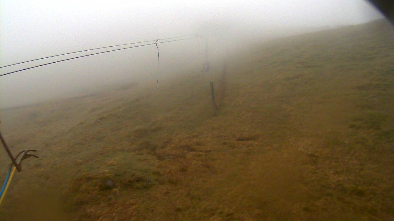 Image from 2022/05/01 for Tow Hut