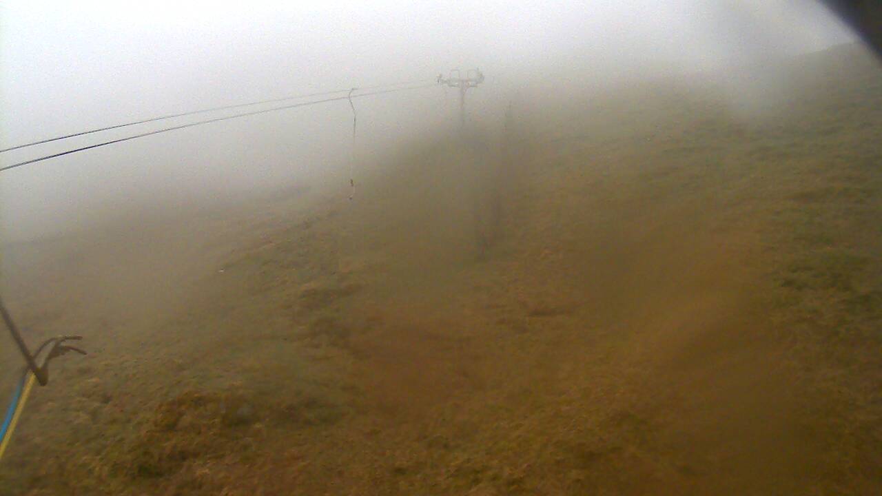 Image from 2022/05/01 for Tow Hut