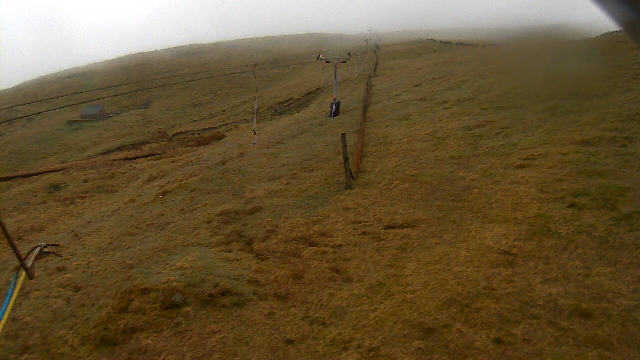 Image from 2022/05/01 for Tow Hut