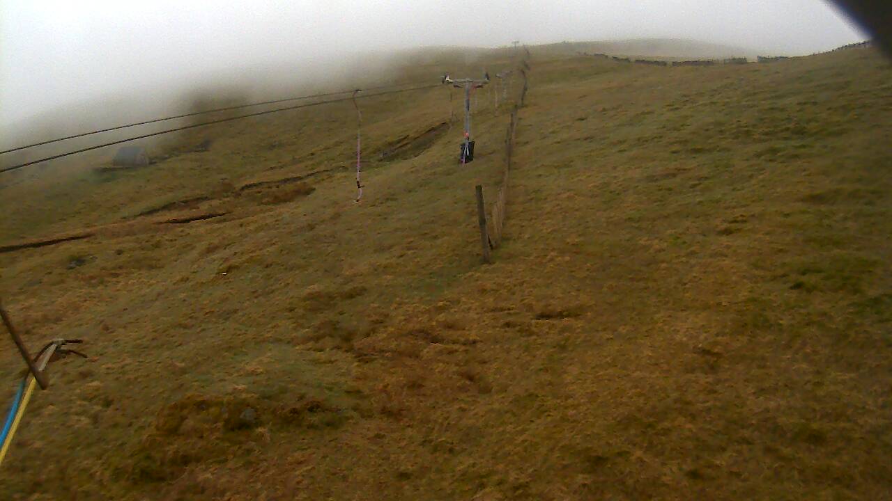 Image from 2022/05/01 for Tow Hut