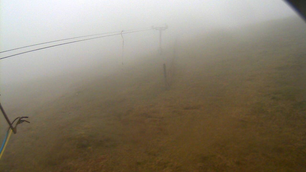 Image from 2022/05/01 for Tow Hut