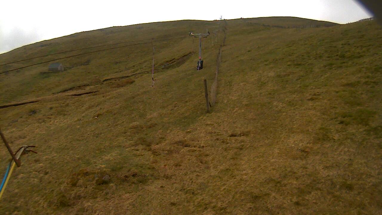 Image from 2022/05/02 for Tow Hut