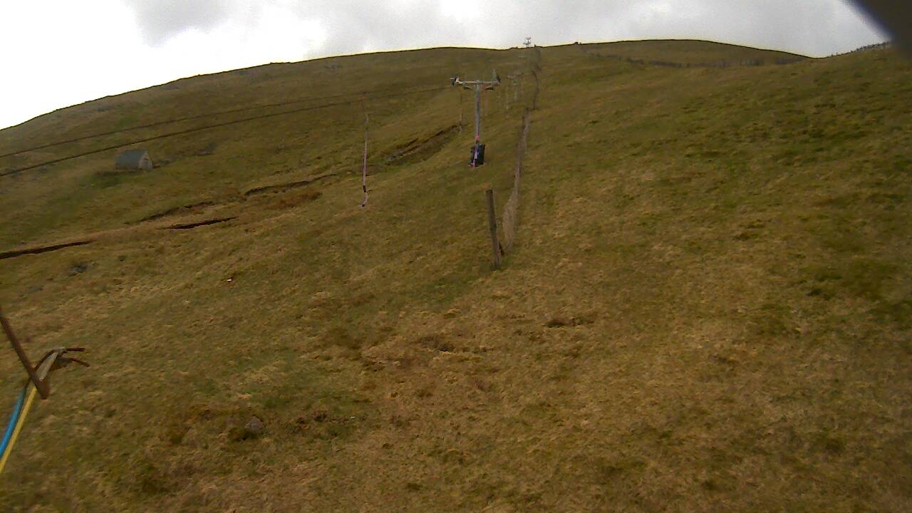 Image from 2022/05/02 for Tow Hut