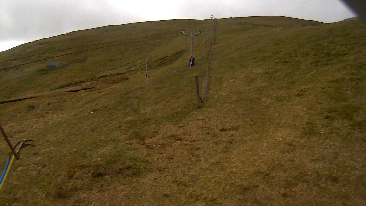 Image from 2022/05/02 for Tow Hut