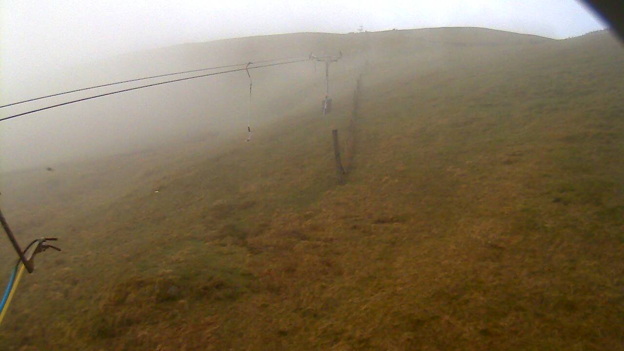 Image from 2022/05/03 for Tow Hut