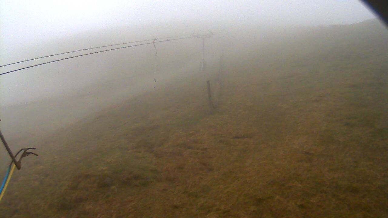 Image from 2022/05/03 for Tow Hut