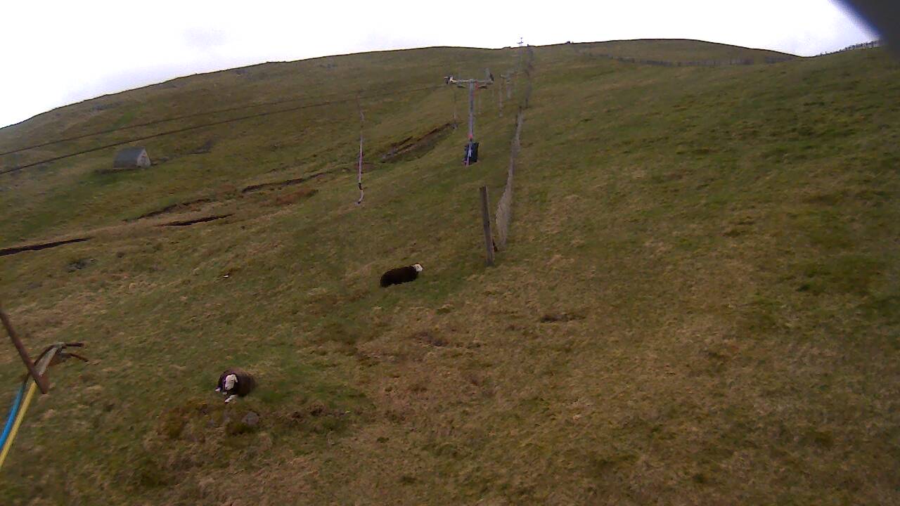 Image from 2022/05/07 for Tow Hut