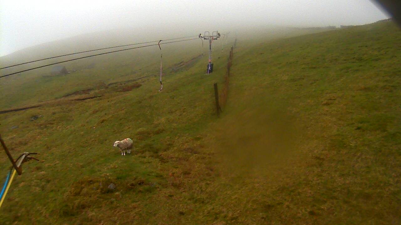 Image from 2022/05/10 for Tow Hut