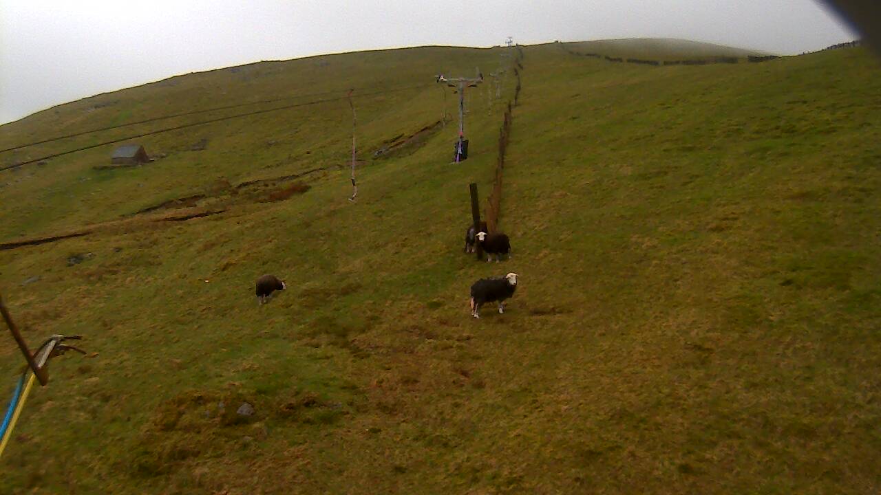 Image from 2022/05/10 for Tow Hut