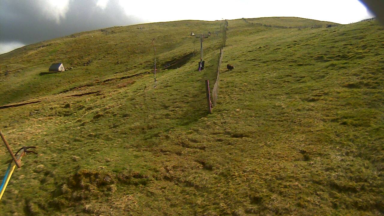 Image from 2022/05/10 for Tow Hut