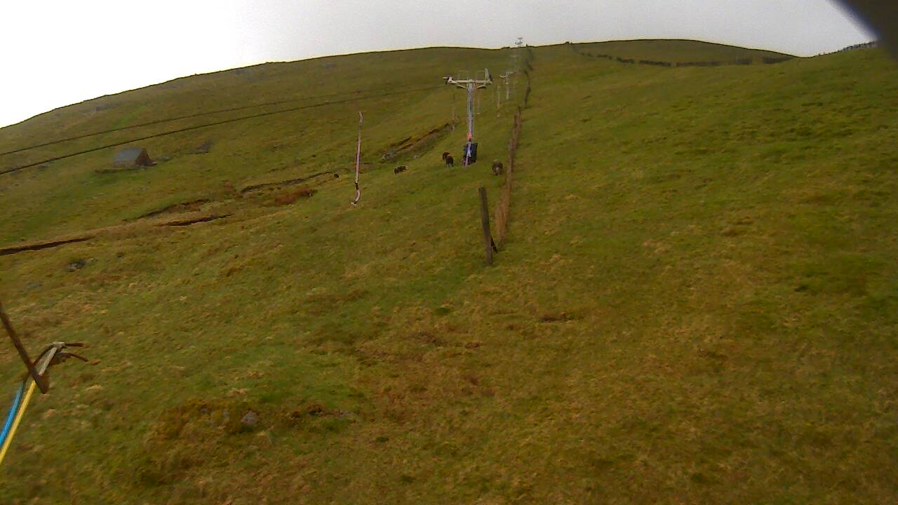 Image from 2022/05/11 for Tow Hut