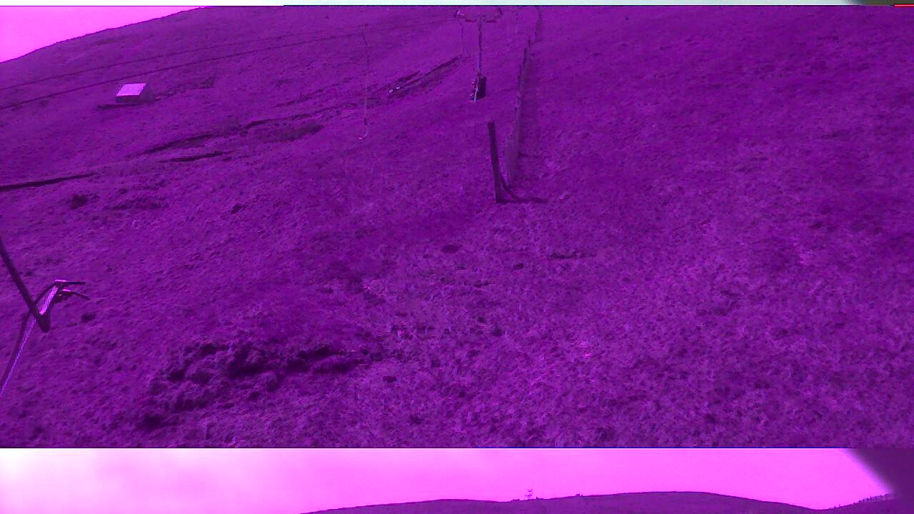 Image from 2022/05/14 for Tow Hut