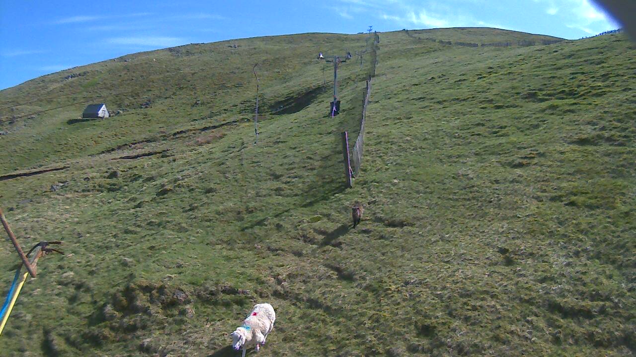 Image from 2022/05/14 for Tow Hut