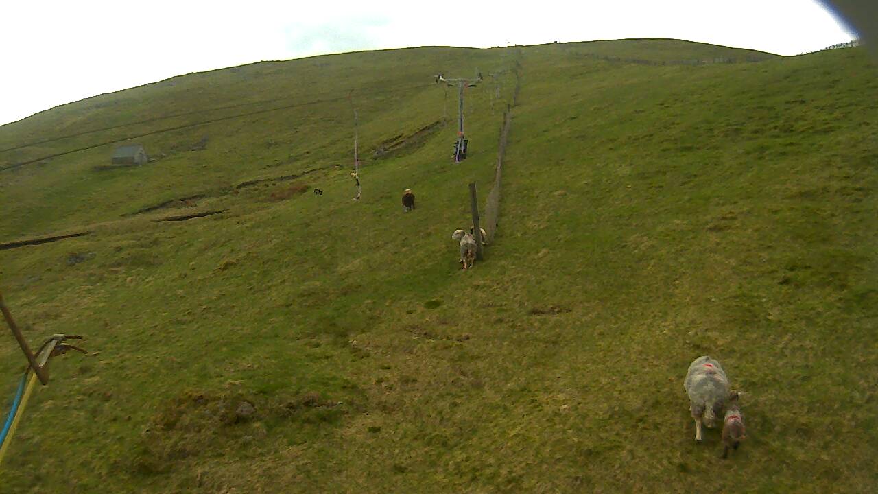 Image from 2022/05/15 for Tow Hut