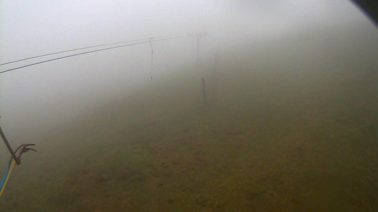 Image from 2022/05/16 for Tow Hut