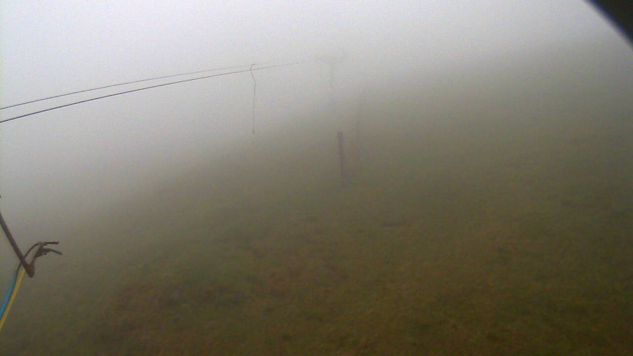 Image from 2022/05/16 for Tow Hut