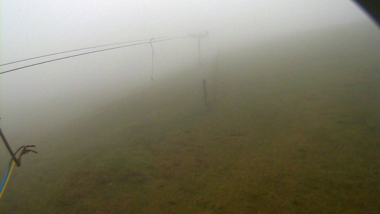 Image from 2022/05/16 for Tow Hut