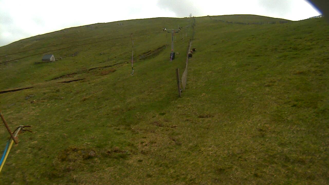 Image from 2022/05/17 for Tow Hut