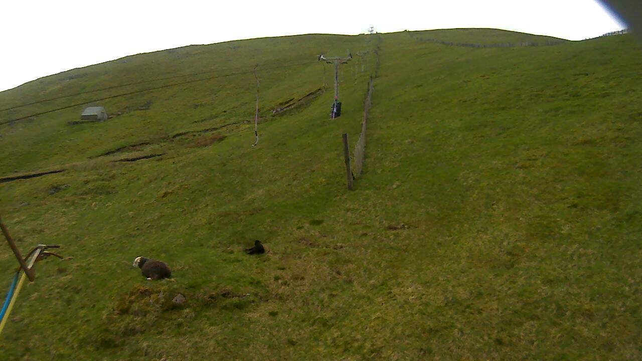 Image from 2022/05/19 for Tow Hut