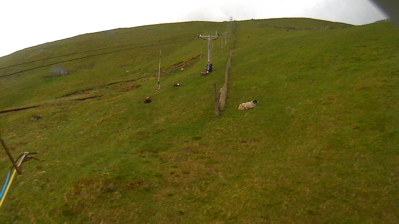 Image from 2022/05/20 for Tow Hut