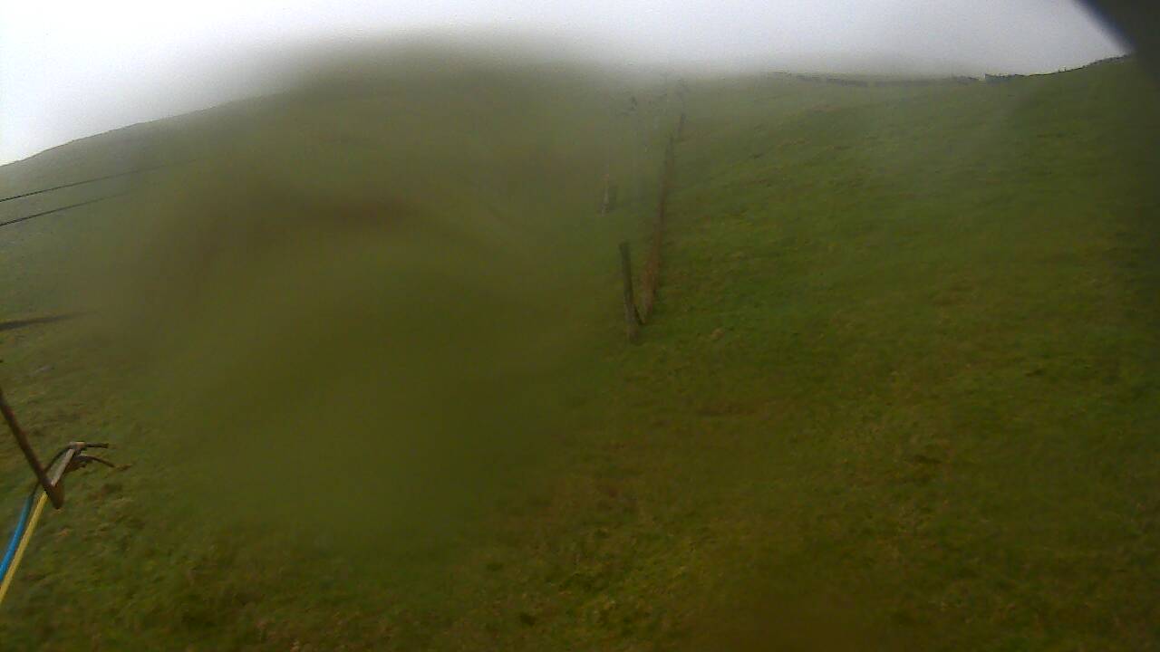 Image from 2022/05/22 for Tow Hut