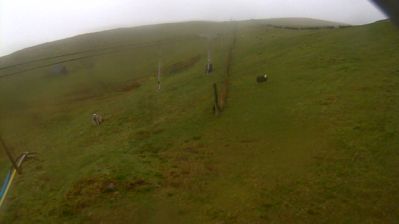 Image from 2022/05/22 for Tow Hut