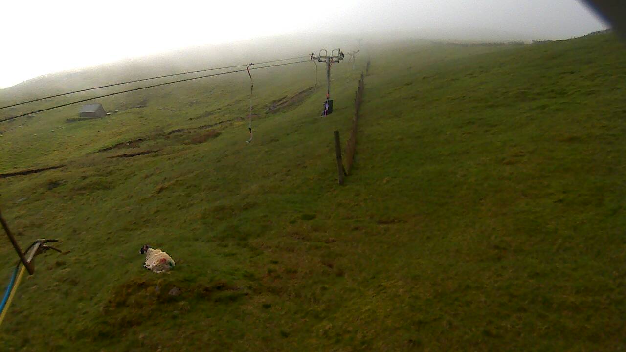 Image from 2022/05/23 for Tow Hut