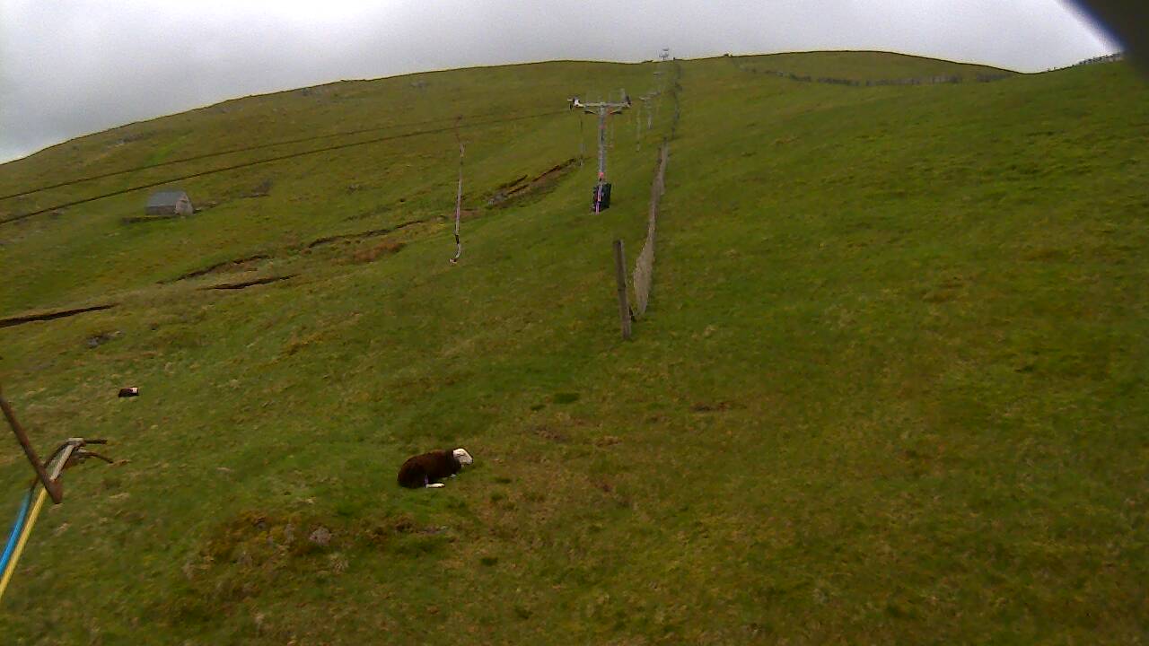 Image from 2022/05/23 for Tow Hut