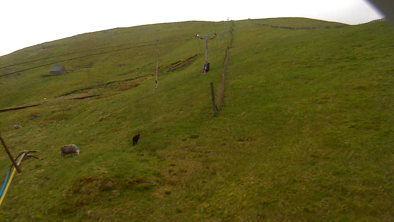 Image from 2022/05/24 for Tow Hut