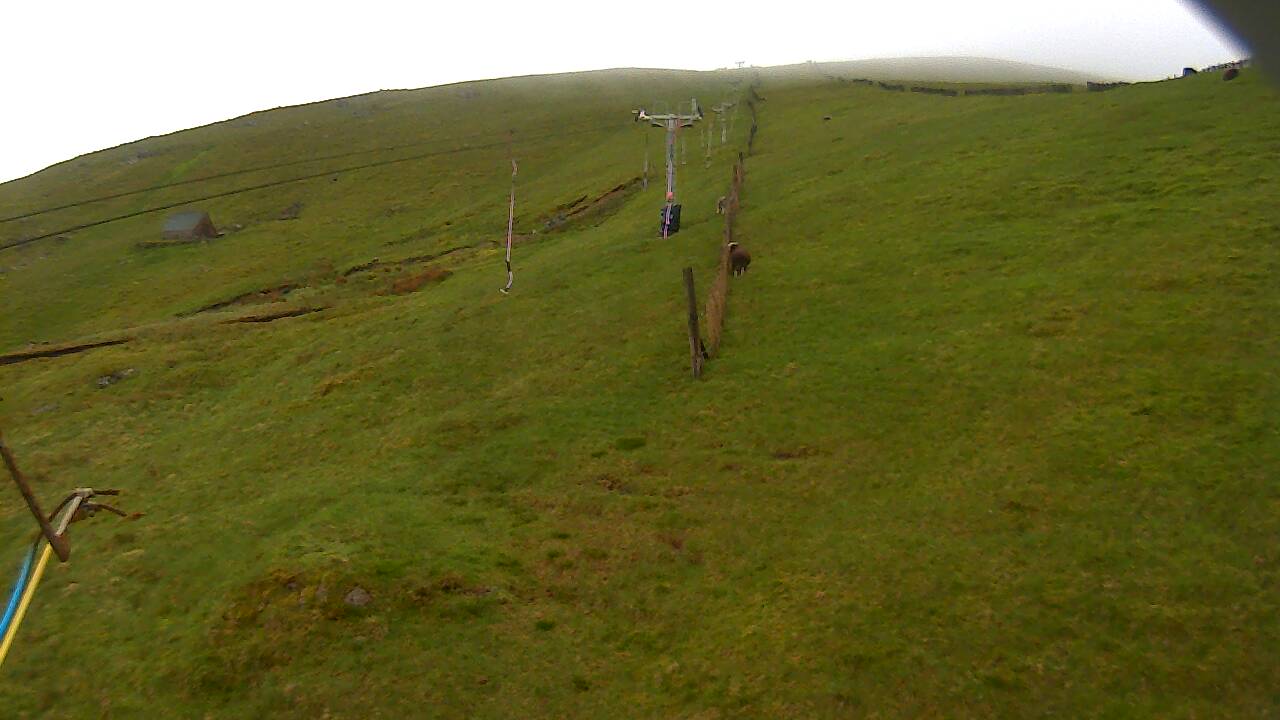 Image from 2022/05/25 for Tow Hut