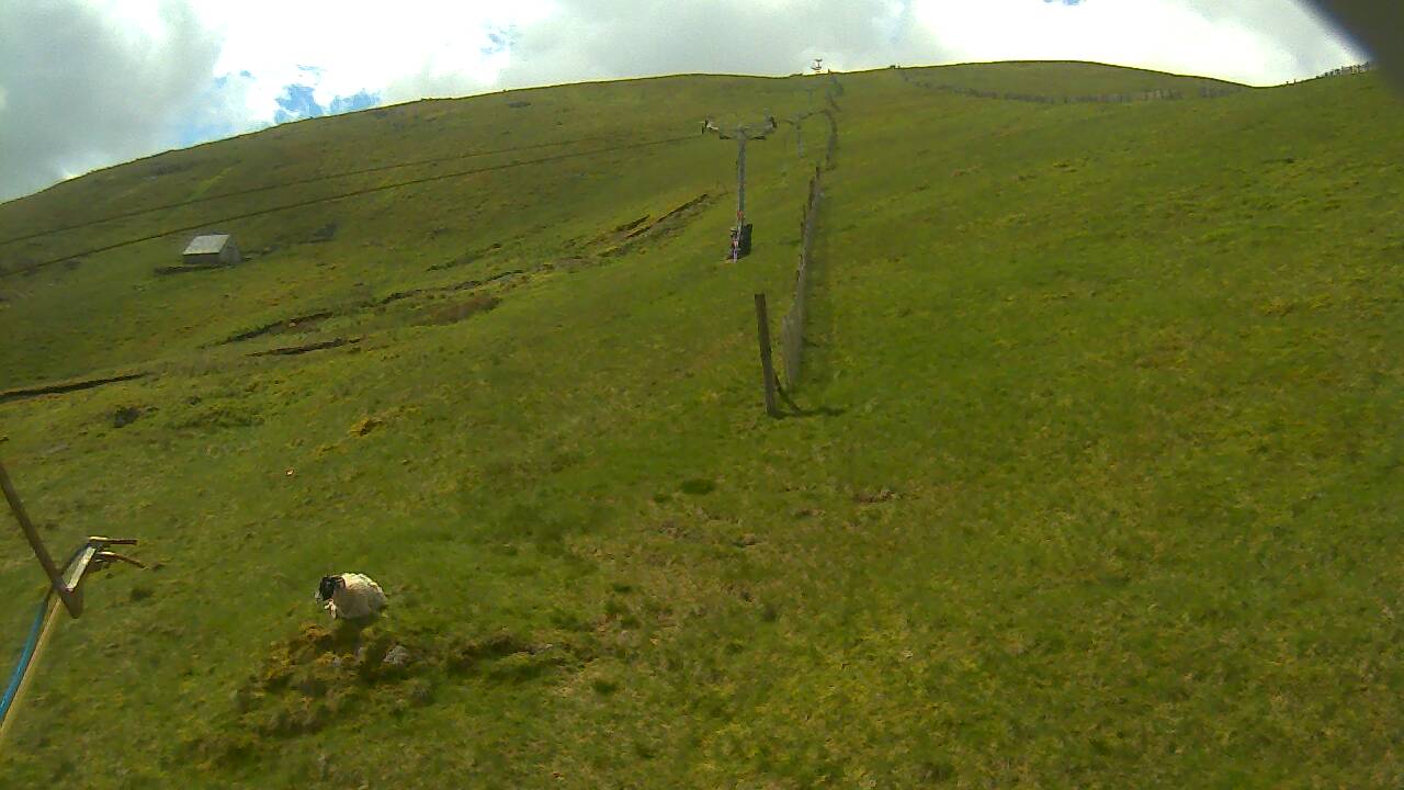 Image from 2022/06/01 for Tow Hut