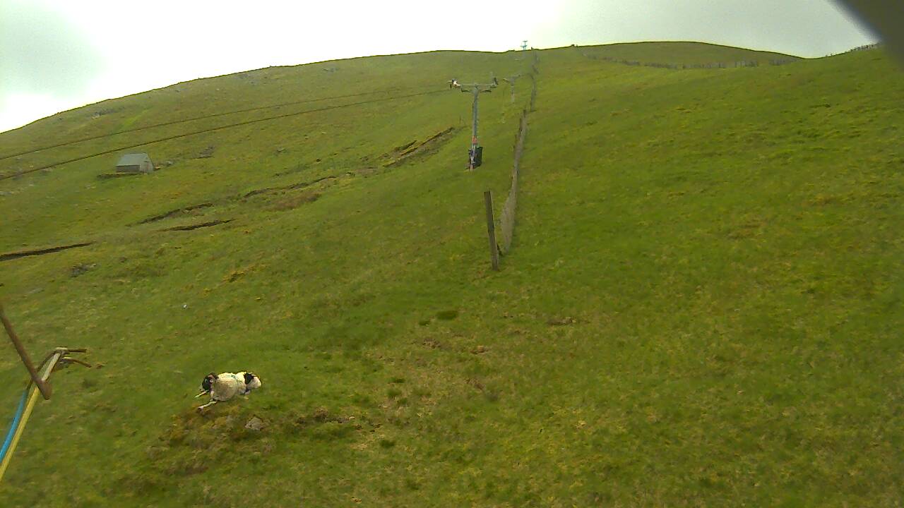 Image from 2022/06/01 for Tow Hut