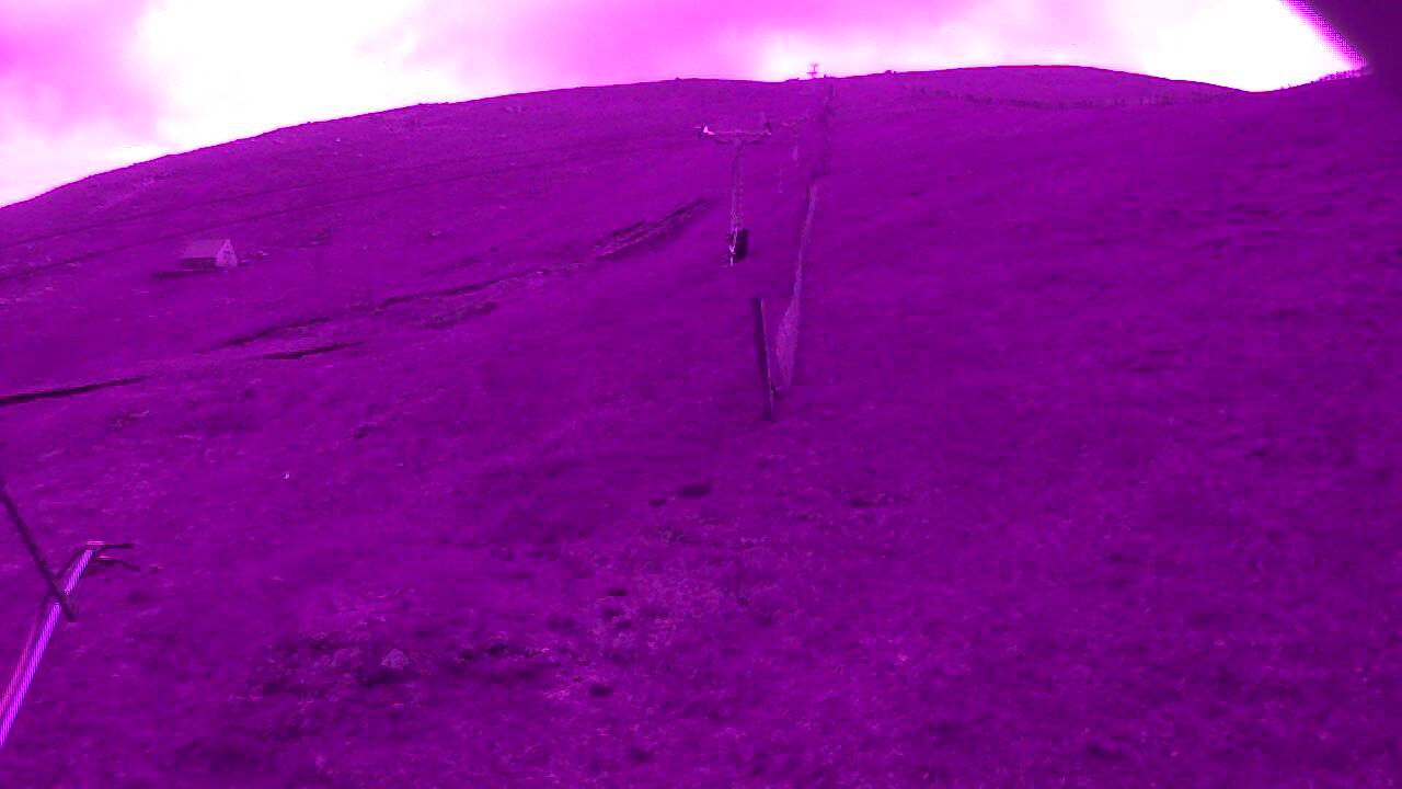 Image from 2022/06/01 for Tow Hut