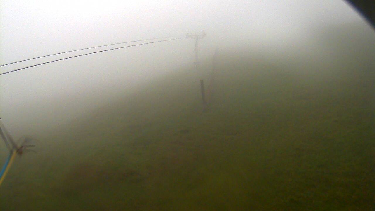 Image from 2022/06/03 for Tow Hut