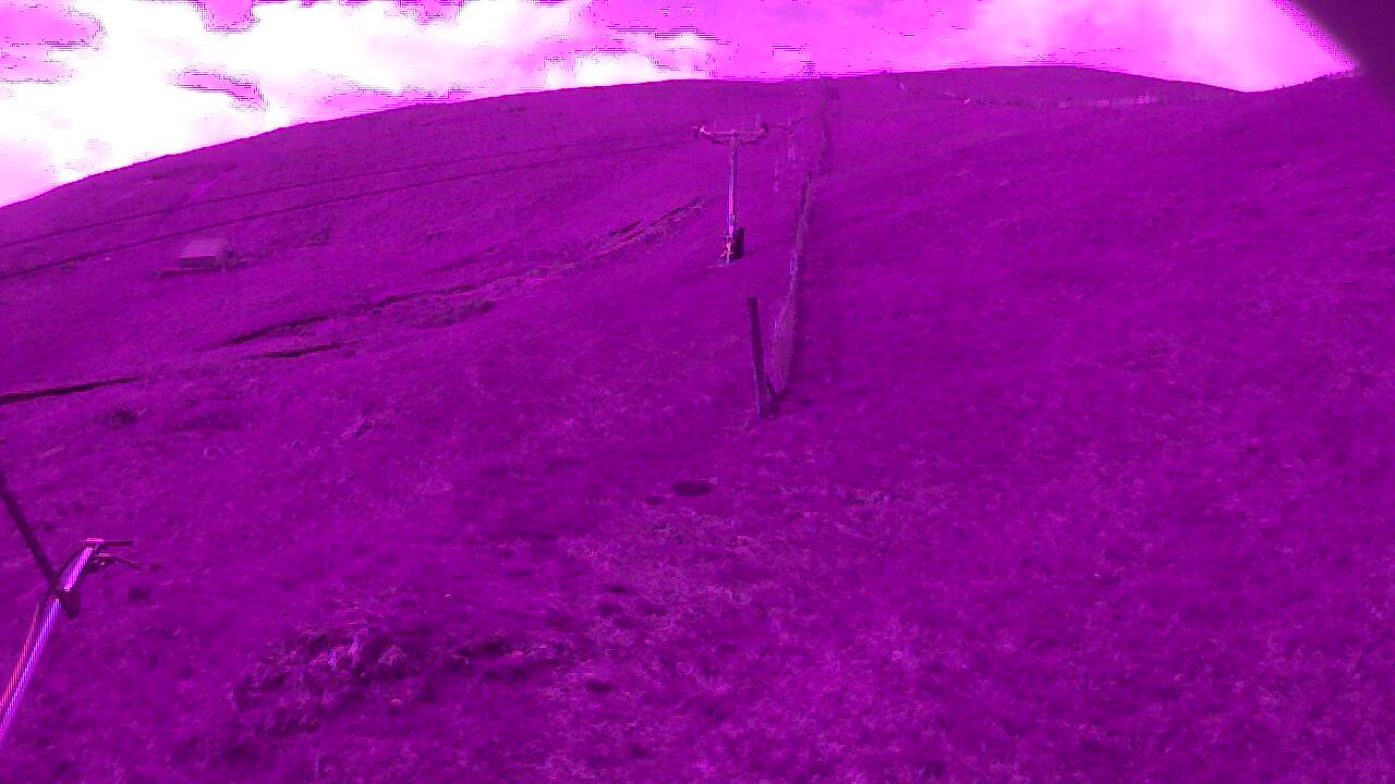 Image from 2022/06/05 for Tow Hut