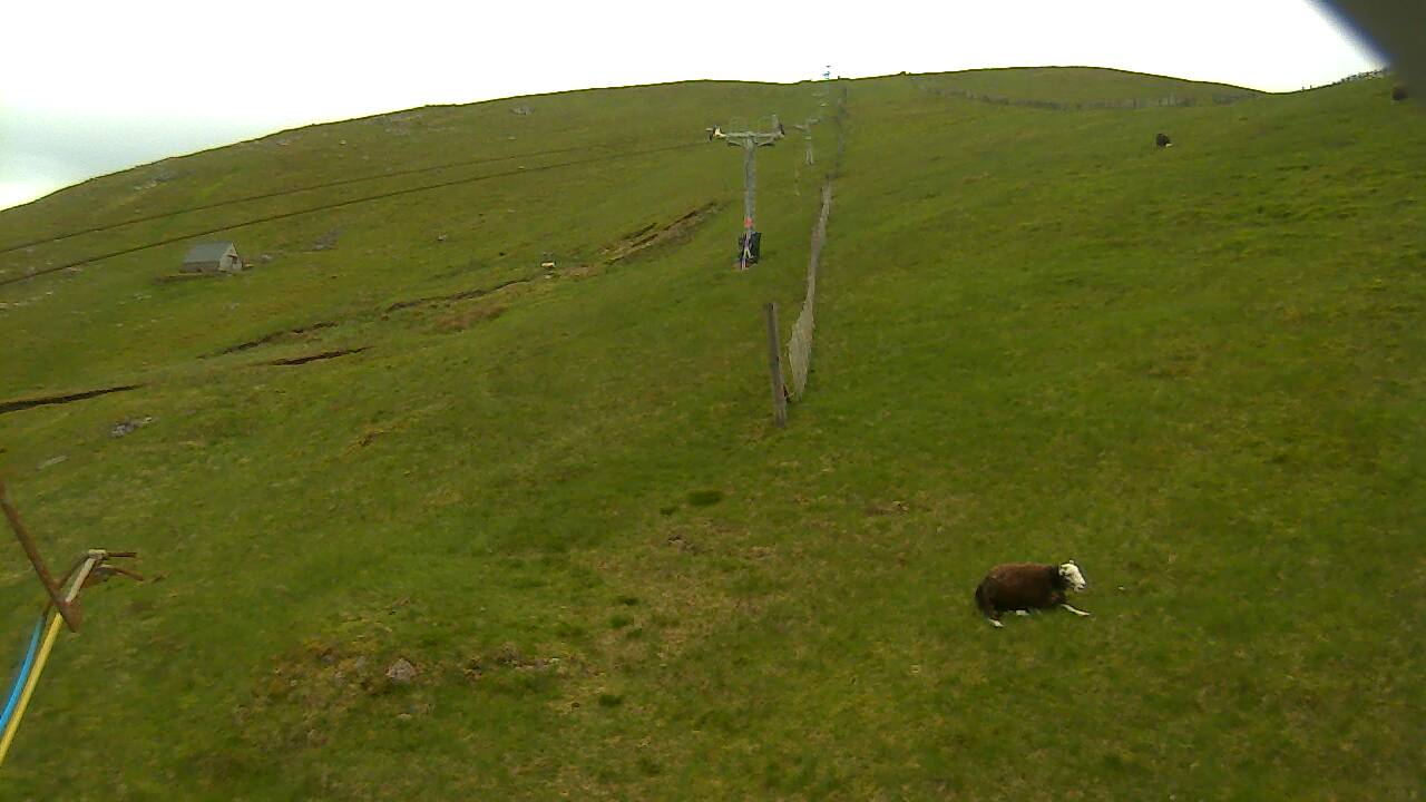 Image from 2022/06/05 for Tow Hut