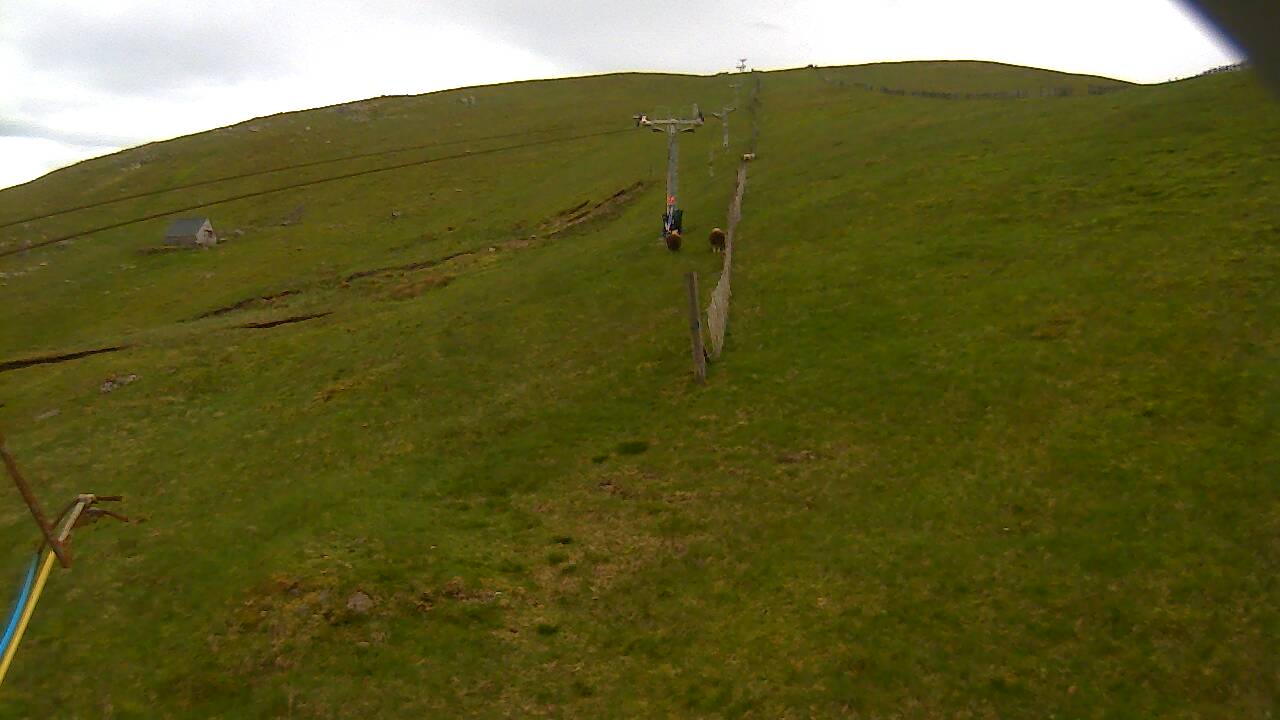 Image from 2022/06/05 for Tow Hut