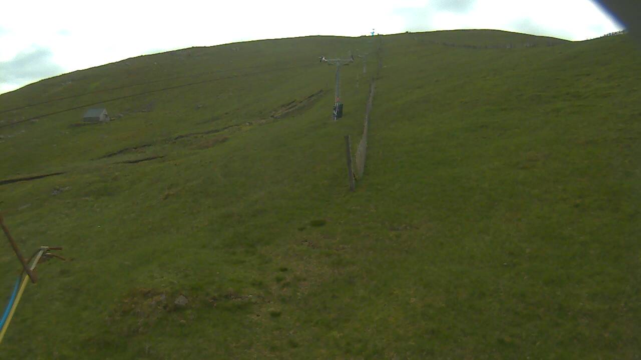 Image from 2022/06/07 for Tow Hut